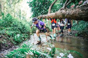 BIB: 
                            <button type="button" onclick="openModal(25478679)" class="btn btn-primary btn-sm float-right btn-popup" data-toggle="modal" data-target=".modal-high-quality">
                        <i class="fas fa-shopping-cart"></i> Add to Cart
                    </button>
                                            <button type="button" onclick="isThisMe(25478679, true)" class="btn btn-success btn-sm float-right btn-popup btn-isme hidden" data-toggle="tooltip" data-placement="bottom" title="นี่คือรูปของคุณใช่ไหม คลิกที่นี่เพื่อเอาเข้าอัลบั้ม">
                        <i class="fas fa-plus"></i> Add to album
                    </button>
                    <button type="button" onclick="isThisMe(25478679, false)" class="btn btn-warning btn-sm float-right btn-popup btn-isnotme hidden">
                        <i class="fas fa-ban"></i> Remove from album
                    </button>